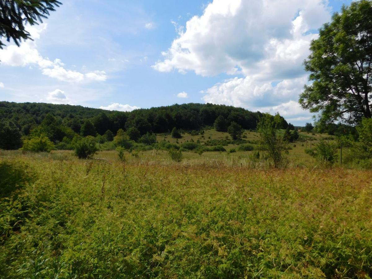 Vacation House Home, Plitvice Lakes National Park Plitvicka Jezera Bagian luar foto