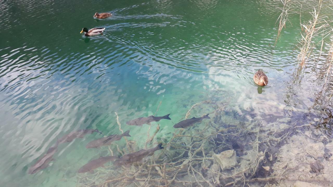 Vacation House Home, Plitvice Lakes National Park Plitvicka Jezera Bagian luar foto