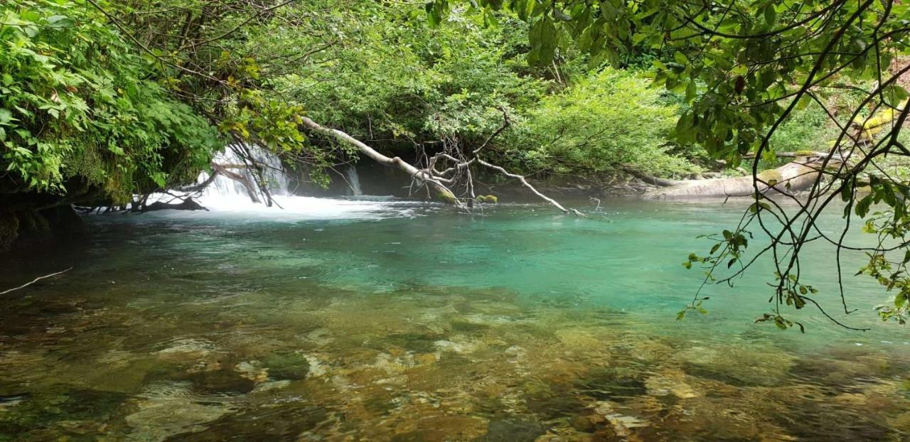 Vacation House Home, Plitvice Lakes National Park Plitvicka Jezera Bagian luar foto
